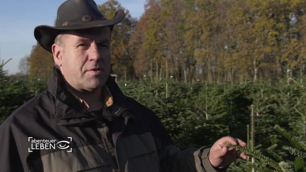 Abenteuer Leben - Täglich - Donnerstag: Der Weg Des Weihnachtsbaumes