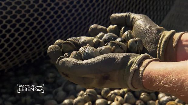 Abenteuer Leben - Täglich - Montag: Unterwegs Mit Den Muschelfischern