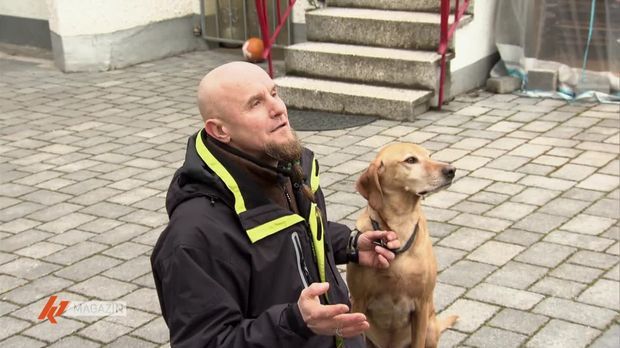 K1 Magazin - K1 Magazin - Stubenreinheit Und Gassi Gehen: Tipps Vom Hunde-erzieher